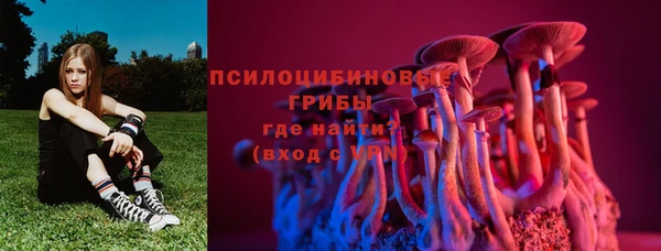 сатива Богородицк