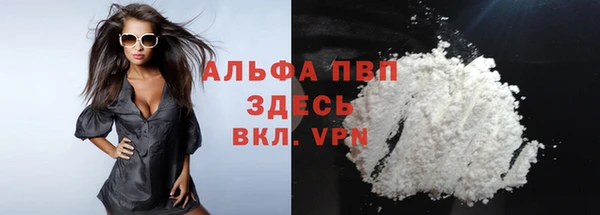 прущие грибы Новокубанск