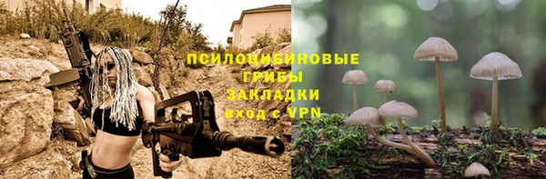 прущая мука Богданович