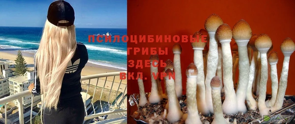 сатива Богородицк